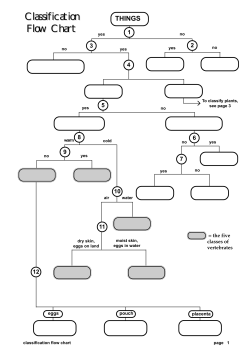 Classification Flow Chart