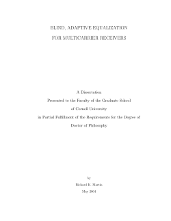 blind, adaptive equalization for multicarrier