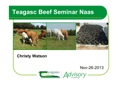 Beef Seminar Naas