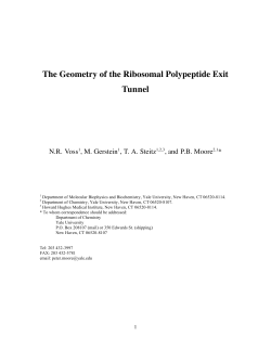 The Geometry of the Ribosomal Polypeptide Exit Tunnel