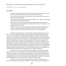 Oil and Sea Turtles: Chapter 4
