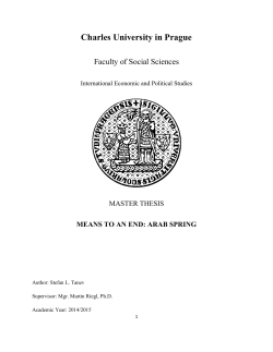 Master Thesis Proposal EXAMPLE