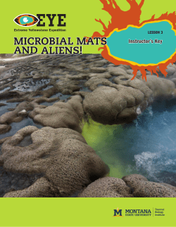Teacher Key for Lesson 3 - Thermal Biology Institute