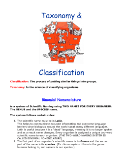 Taxonomy Webquest Notes