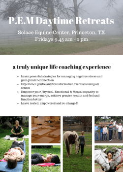 THE NEW YOU - Solace Equine Center