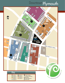 Professional and Other Services