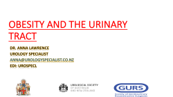 Anna Lawrence - Slidepack