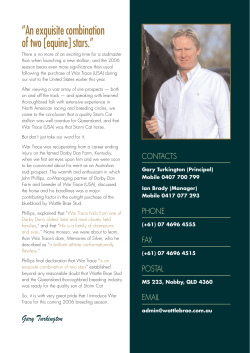 An exquisite combination of two [equine] stars.