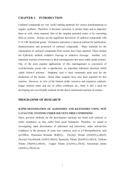 chapter 1: introduction programme of research