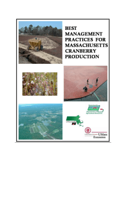 Intro and acknowledgements