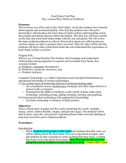 Food Chain Unit Plan Day 1 Lesson Plan: Plants as Producers