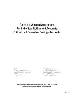 Custodial Account Agreement - Provident Trust Strategy Fund