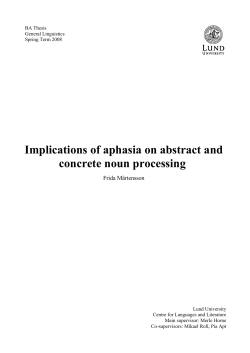 Implications of aphasia on abstract and concrete noun processing