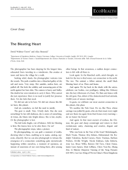 Cover Essay
