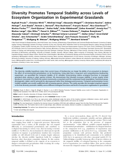 Diversity Promotes Temporal Stability across Levels of Ecosystem
