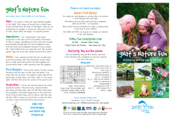 Nature Trail Safety Follow The Countryside Code Butterfly, Bug and