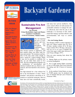 Sustainable Fire Ant Management