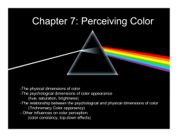 Chapter 7: Perceiving Color