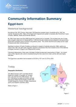 Egypt Community Information Summary