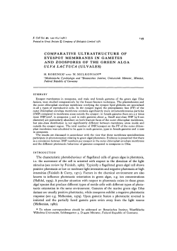 comparative ultrastructure of eyespot membranes in gametes and