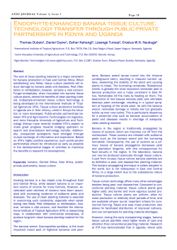 Endophyte-enhanced banana tissue culture: technology transfer