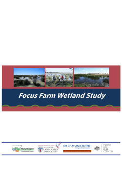 Focus Farm Wetland Study - Charles Sturt University