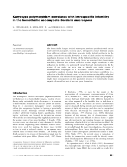 Intraspecific karyotype polymorphism in the homothallic ascomycete