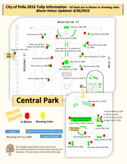 Central Park - City of Pella