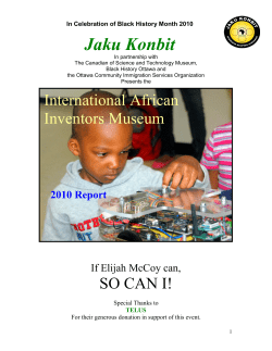 the international african inventors museum
