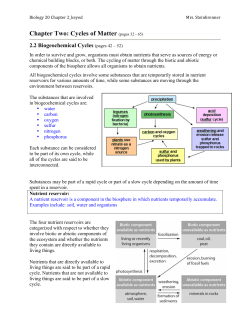 Chapter Two: Cycles of Matter (pages 32 - 65)