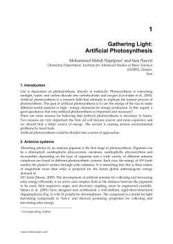 as PDF