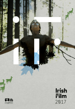 Irish Film Board Production Catalogue 2017