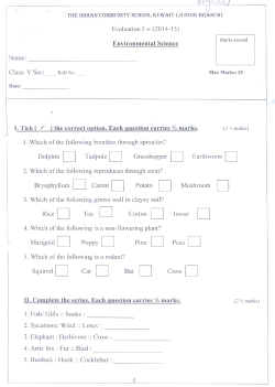 Untitled - THE INDIAN COMMUNITY SCHOOL, KUWAIT