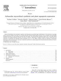 Arbuscular mycorrhizal symbiosis and plant aquaporin