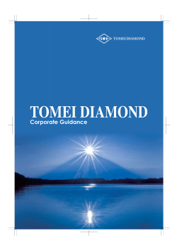 TOMEI DIAMOND Corporate Guidance
