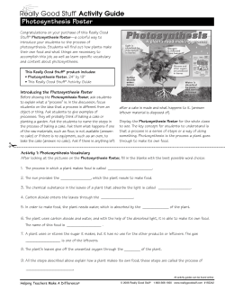 Activity Guide Photosynthesis Poster
