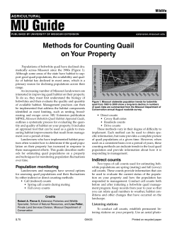 Methods Counting Quail
