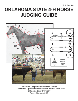 oklahoma state 4-h horse judging guide oklahoma state 4
