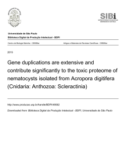 Gene duplications are extensive and contribute
