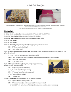 18 inch Doll Bed or Case