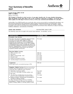 Custom Premier HMO 30/100 (HMO 30 CHIRO) Effective 07.01