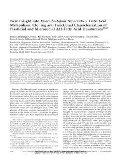New Insight into Phaeodactylum tricornutum Fatty