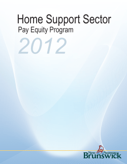 Home Support Sector