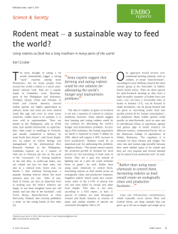 Rodent meat – a sustainable way to feed the world?