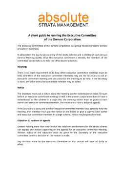 A short guide to running the Executive Committee of the Owners