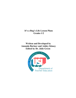 It`s A Bug`s Life Supplement Lesson Plans