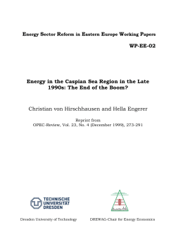 Christian von Hirschhausen and Hella Engerer