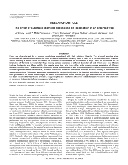 The effect of substrate diameter and incline on locomotion in an