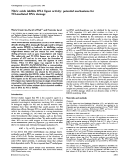 Nitric oxide inhibits DNA ligase activity: potential