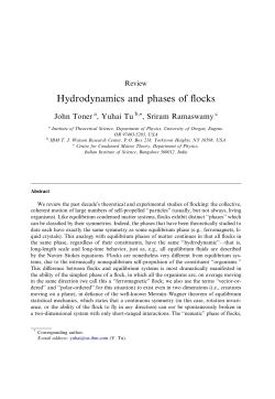Hydrodynamics and phases of flocks